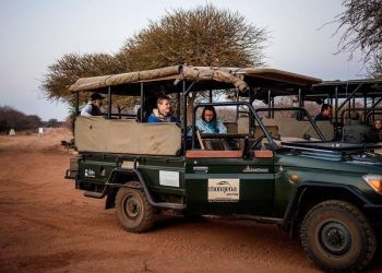 Tragedy Strikes South Africa as Bus Crash Claims 20 Lives and Injures 68