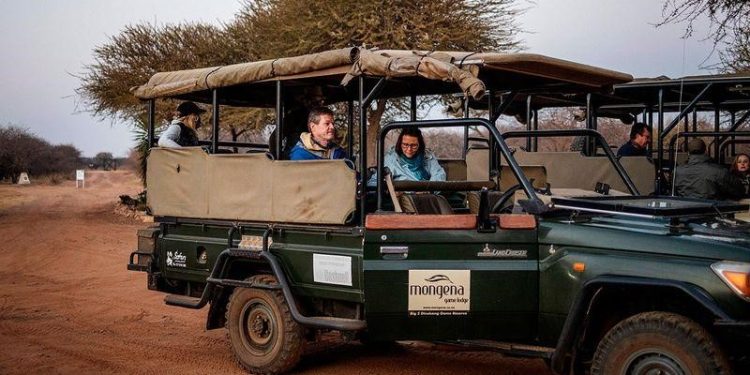 Tragedy Strikes South Africa as Bus Crash Claims 20 Lives and Injures 68