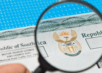 How to Check and Renew Your Vehicle Licence Online in South Africa (2025 Guide)