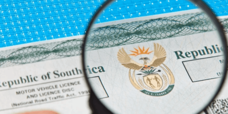 How to Check and Renew Your Vehicle Licence Online in South Africa (2025 Guide)