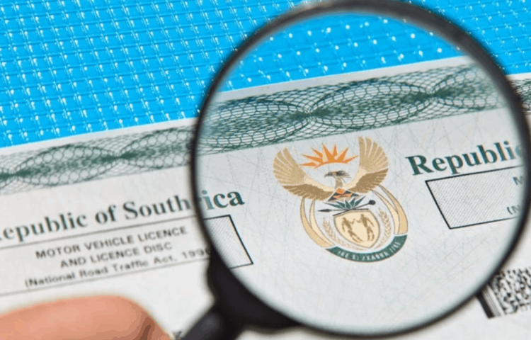 How to Check and Renew Your Vehicle Licence Online in South Africa (2025 Guide)